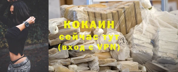 хмурый Абаза