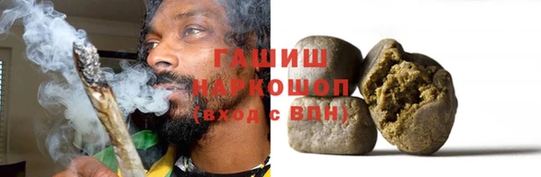 хмурый Абаза