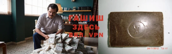 хмурый Абаза