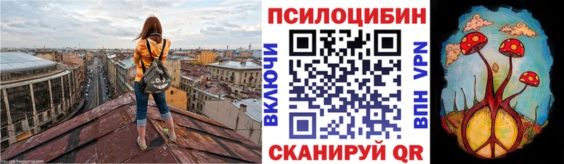 продажа наркотиков  blacksprut как войти  Галлюциногенные грибы Psilocybe  Пенза 