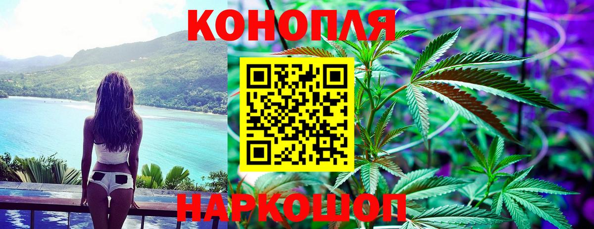 Бошки марихуана OG Kush Пенза